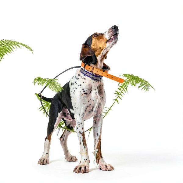 Dogtra Pathfinder2 GPS Pet Tracker Additional Receiver-2