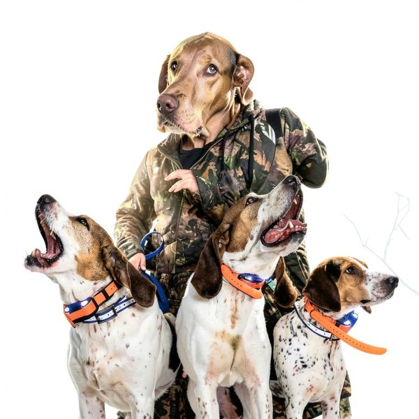 Dogtra Pathfinder2 GPS Dog Tracking System Training Collar-6