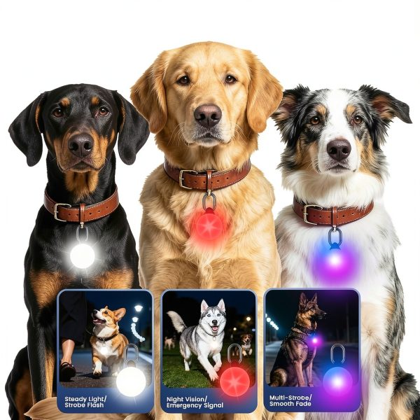 DualSafety Smart Light Dog Collar with GPS Tracking LED-3