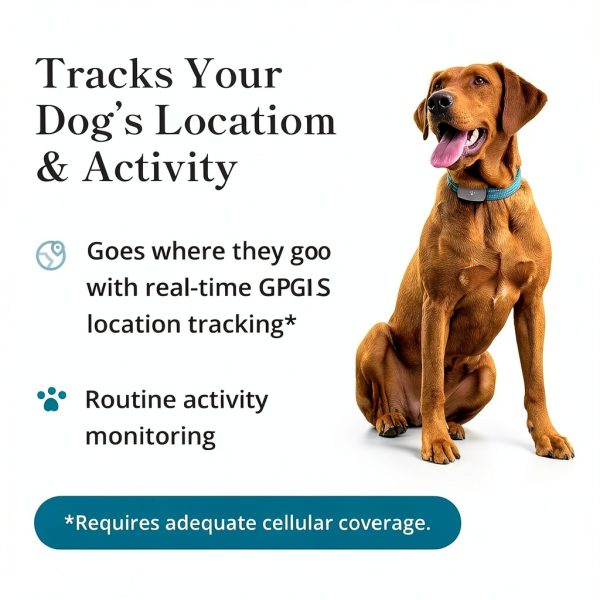 Petivity GPS Dog Tracker Live Location Activity Monitor-1
