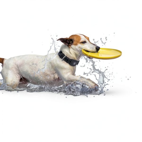Myiwb GPS Dog Collar IP68 Waterproof Real Time Tracking-1