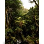 University of Chicago Press Geography Kindle Book-0
