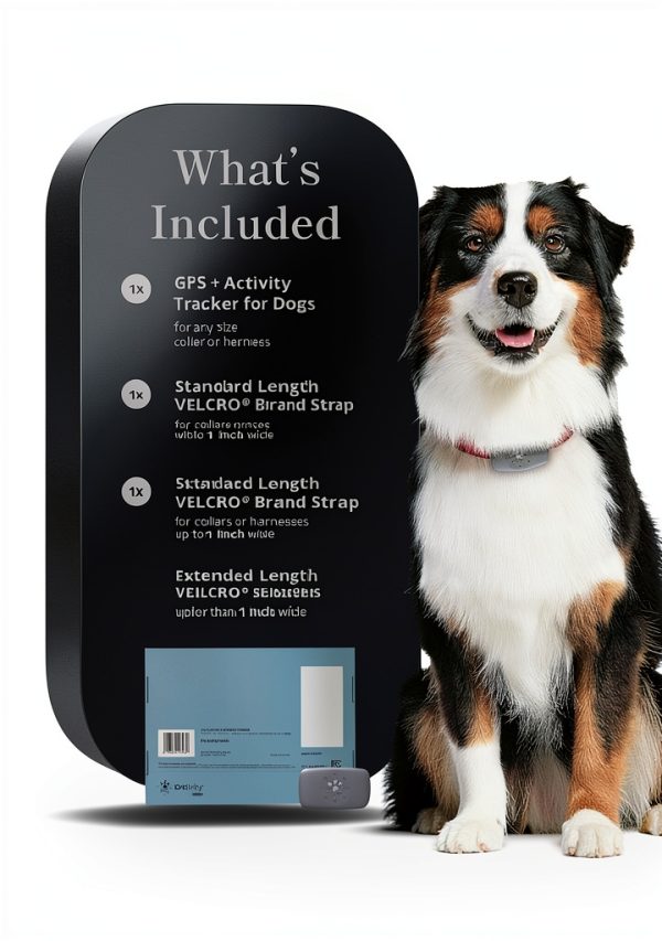 Petivity GPS Dog Tracker Live Location Activity Monitor-8