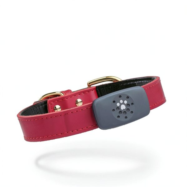 Petivity GPS Dog Tracker Live Location Activity Monitor-7