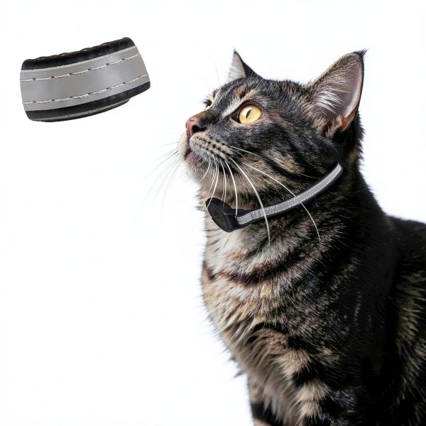 Vebiso Cat GPS Tracker Collar Android App No Monthly Fee-2